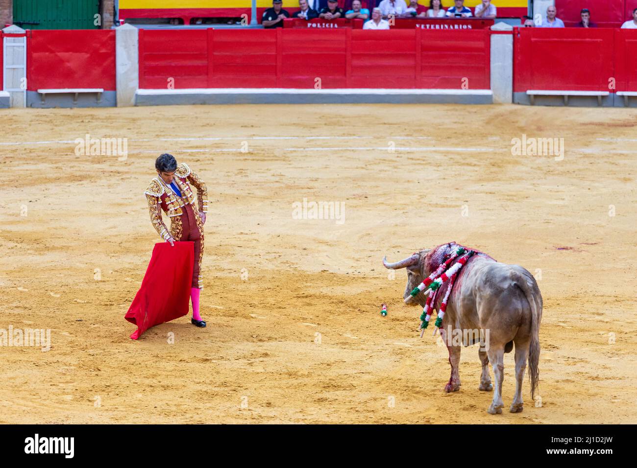 Granada, Spain. June 19, 2014. Bullfighter Jose Tomas in a bullfight at the corpus fair in granada.  Stock Photo