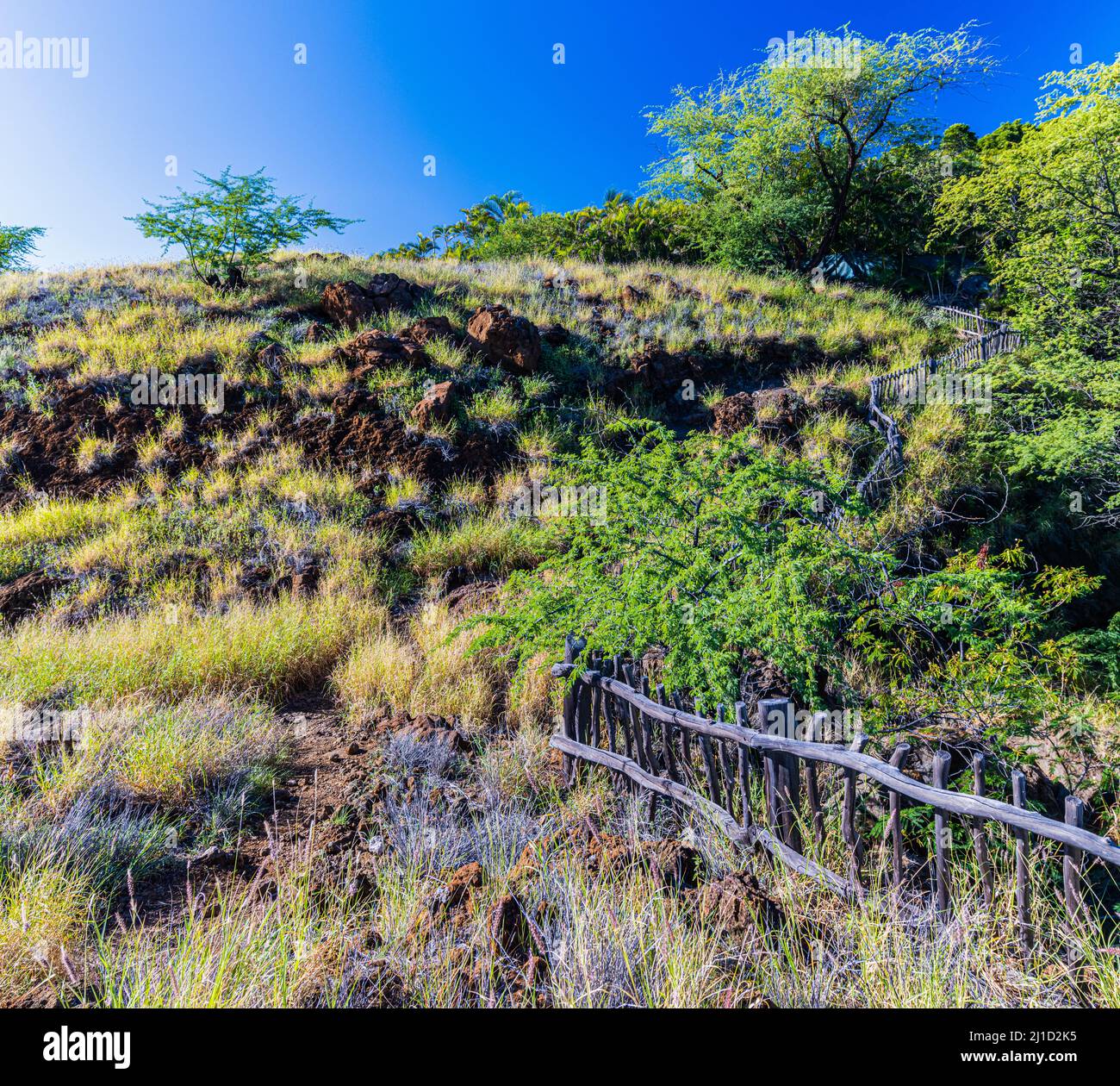 Wooden Fence Along The Ala Kahakai Trail National Historic Trail