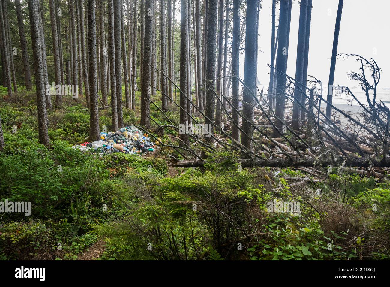 A plastic pile at Scott Creek on the Olympic Coast of Washington State, USA. Stock Photo