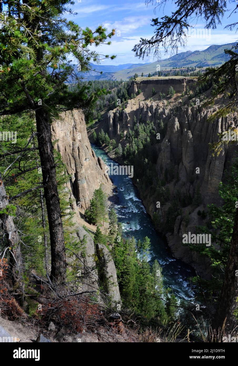 Tower Creek converges on the Yellowstone River in this canyon area of Yellowstone National Park. Stock Photo