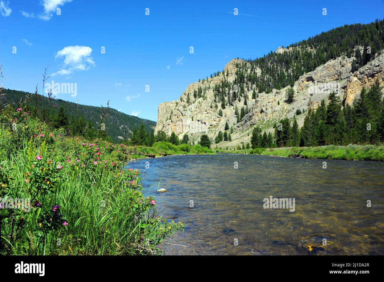 Distant Flyfisherman wades along the edge of the Gallatin River in the Gallatin Valley.  A bluff of the Gallatin Range of the Rocky Mountains overlook Stock Photo