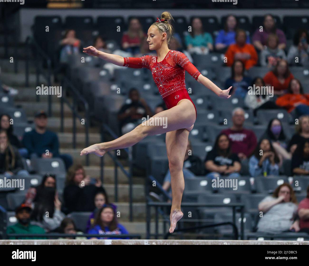 Birmingham, AL, USA. 19th Mar, 2022. Arkansas' Bailey Lovett performs