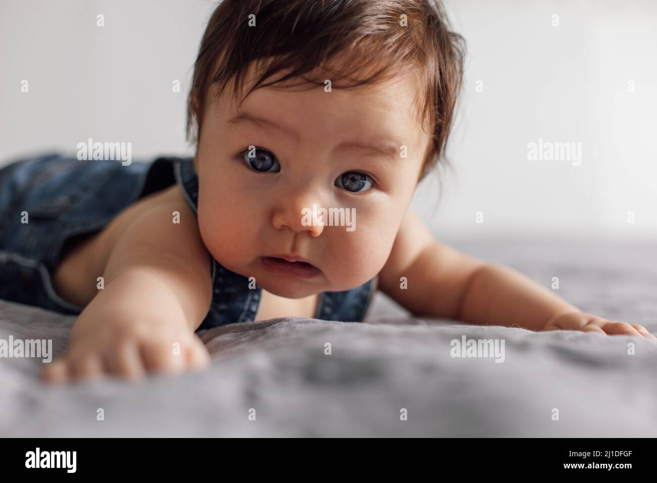 Portrait of pretty baby wearing denim romper lying on gray blanket at home. Scared blue eyed infant child crawl on bed in bedroom, explore world Stock Photo