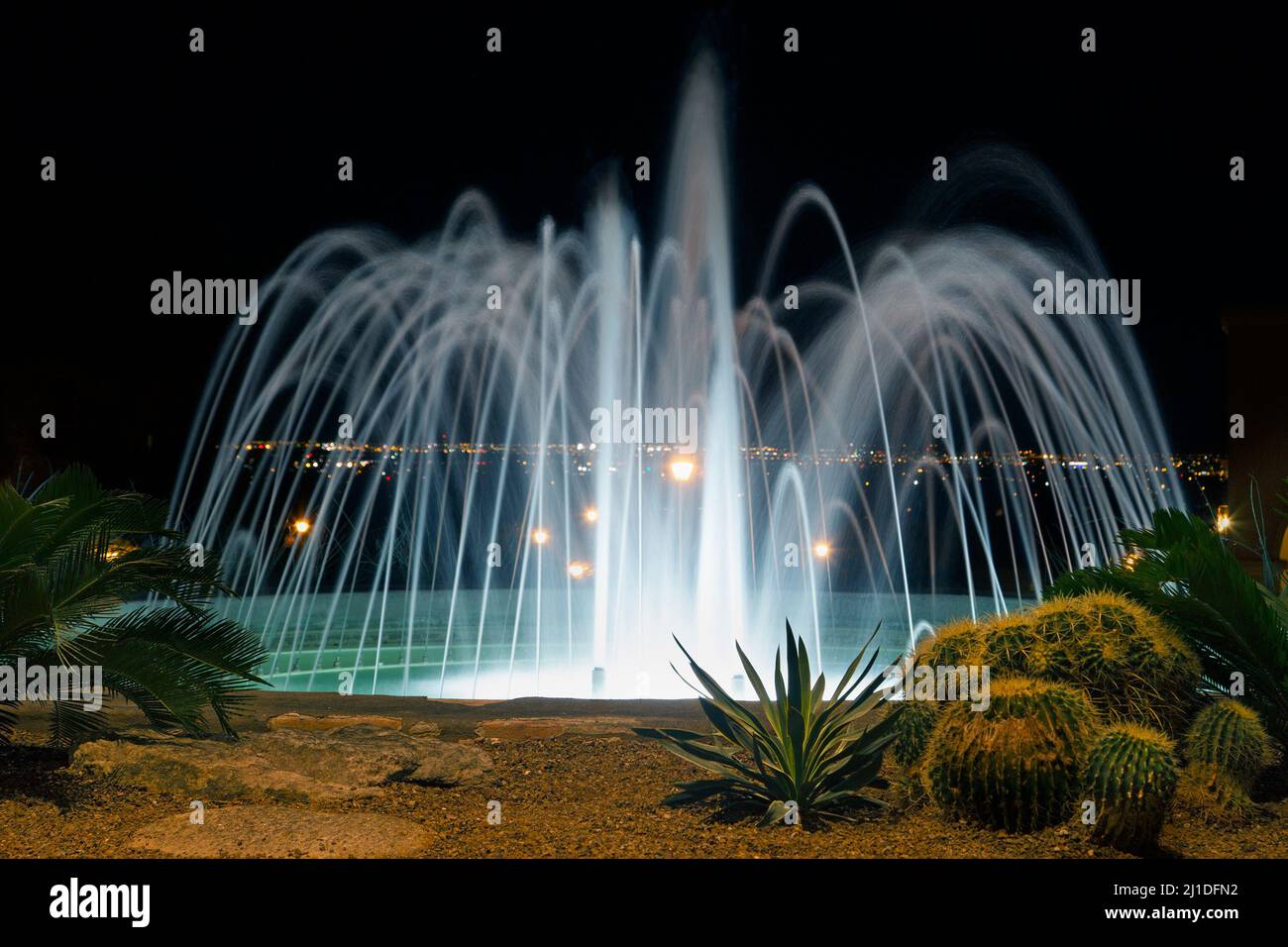 Fountain and cactus garden in the desert at night, Tucson, Arizona Stock Photo
