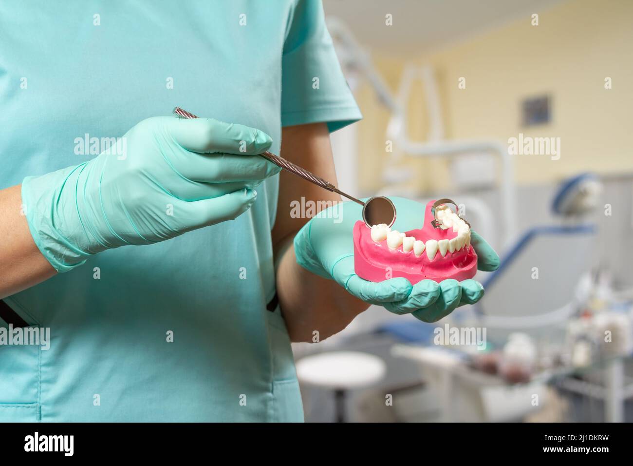 Dentist holding mouth mirror and layout of the human jaw Stock Photo ...