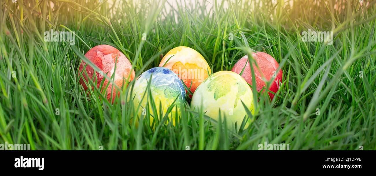 Easter banner. Colored eggs in green grass. Easter concept. Copy space Stock Photo