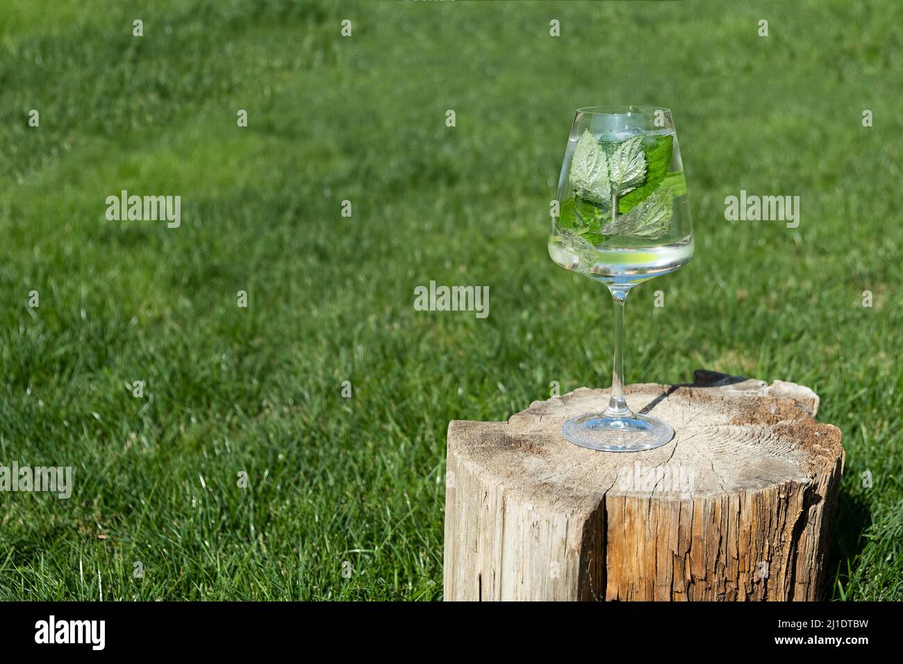 Glass with mint leaves and lime slices. refreshing summer drink. lawn Stock Photo Alamy