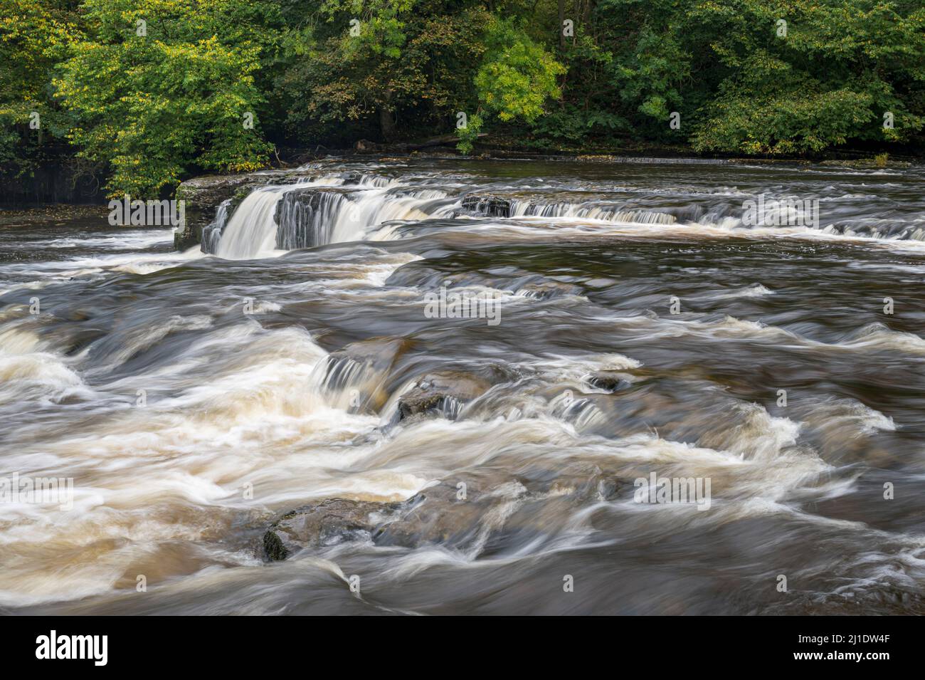 The upper falls of the River Ure at Aysgarth, Yorkshire Dales National Park, England Stock Photo