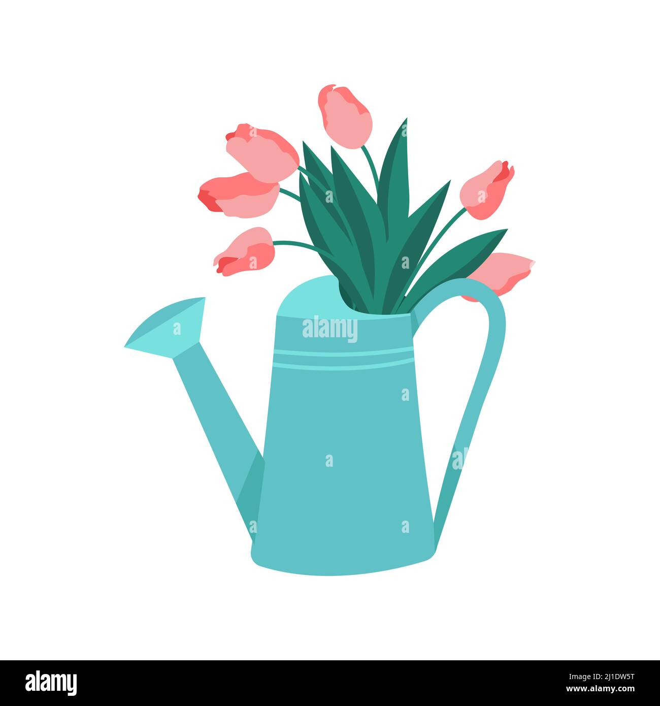 Pink tulips in a watering can. Bouquet of spring flowers. Vector ...