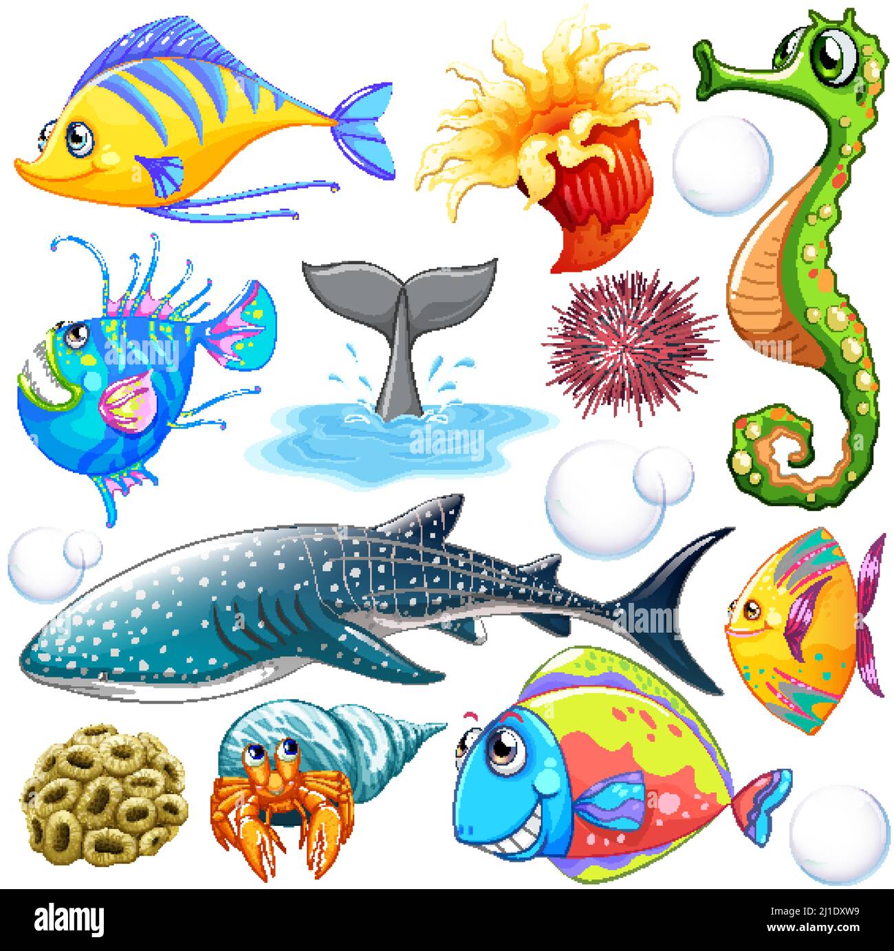 Different types of sea animals illustration Stock Vector Image & Art - Alamy