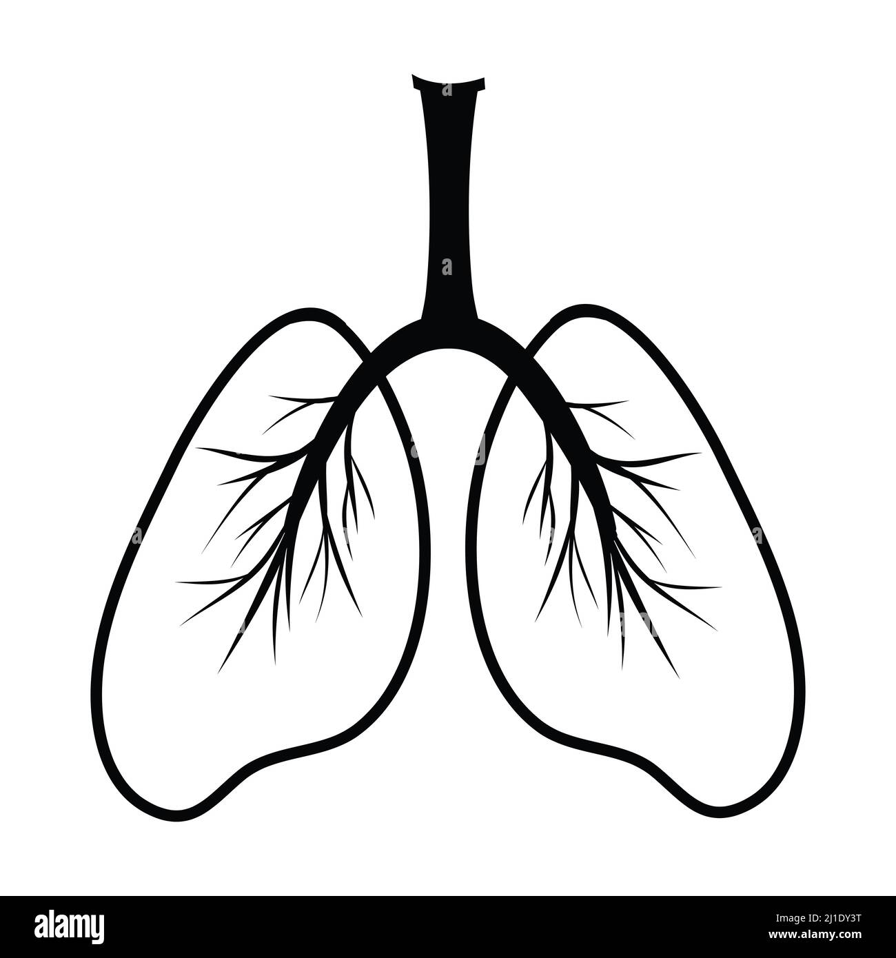 Human Lungs Silhouette Simple Schematic Illustration Sketch Drawing