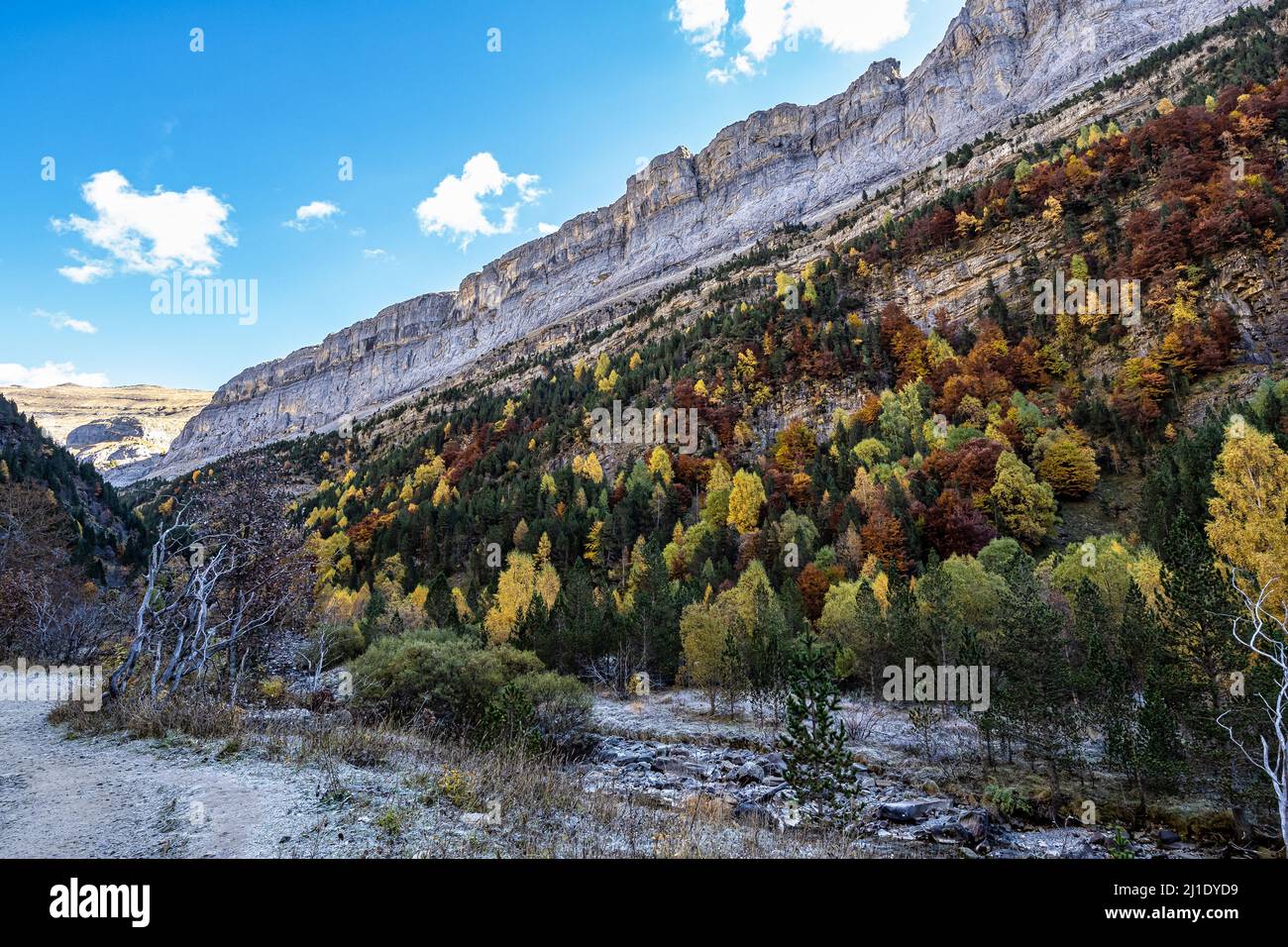 Autumn landscape view of beautiful nature in Ordesa and Monte Perdido National park, Pyrenees