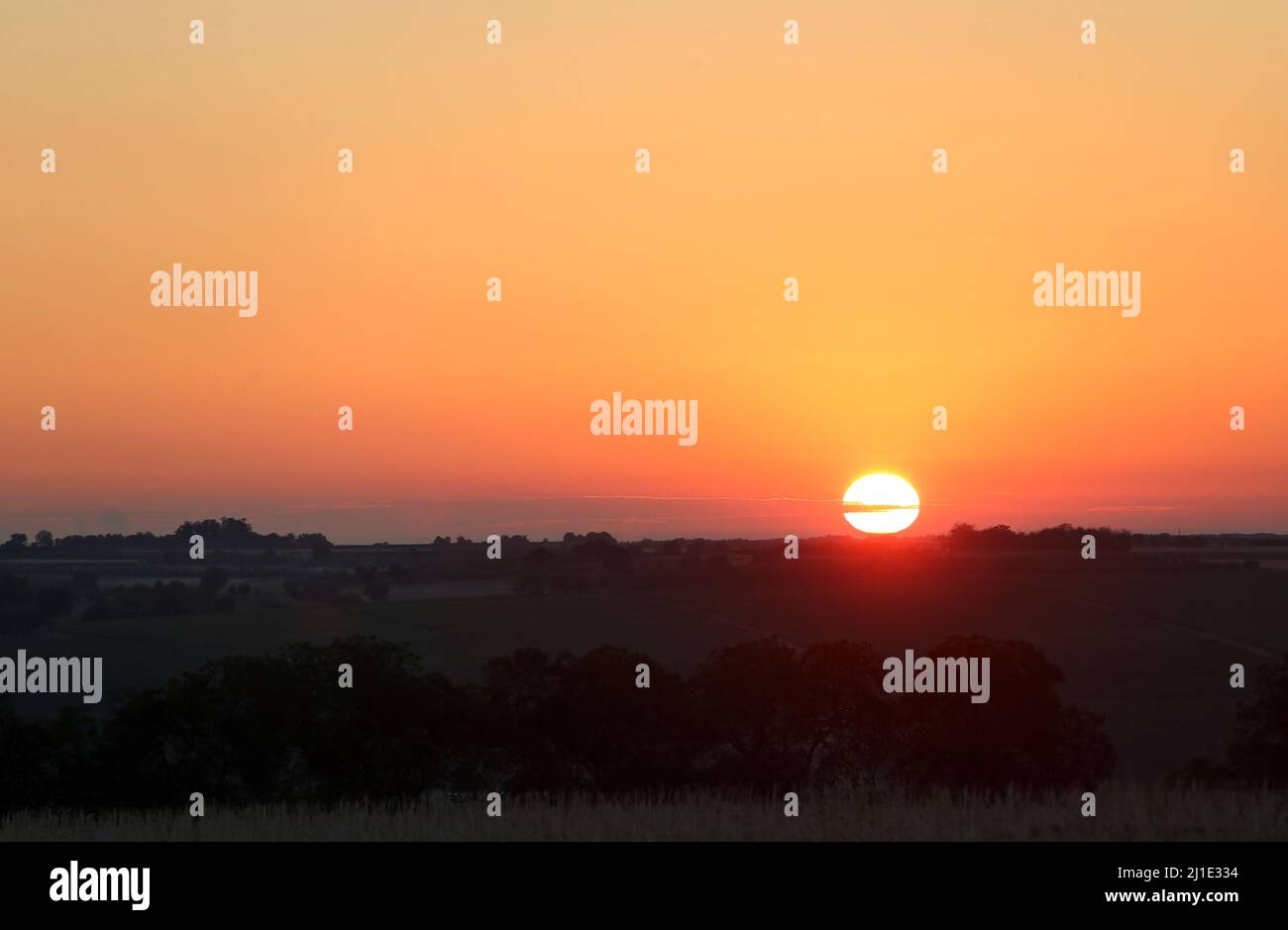 19.08.2020, Germany, Rhineland-Palatinate, Ingelheim - Sunrise. 00S200819D056CAROEX.JPG [MODEL RELEASE: NO, PROPERTY RELEASE: NO (c) caro images / Sor Stock Photo