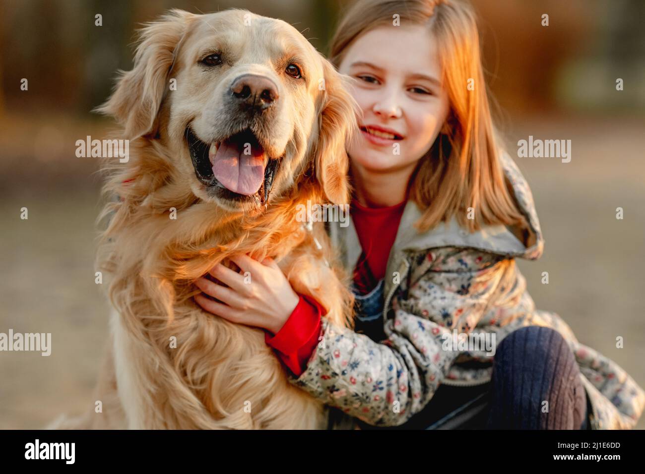 Preteen girl with golden retriever dog Stock Photo - Alamy