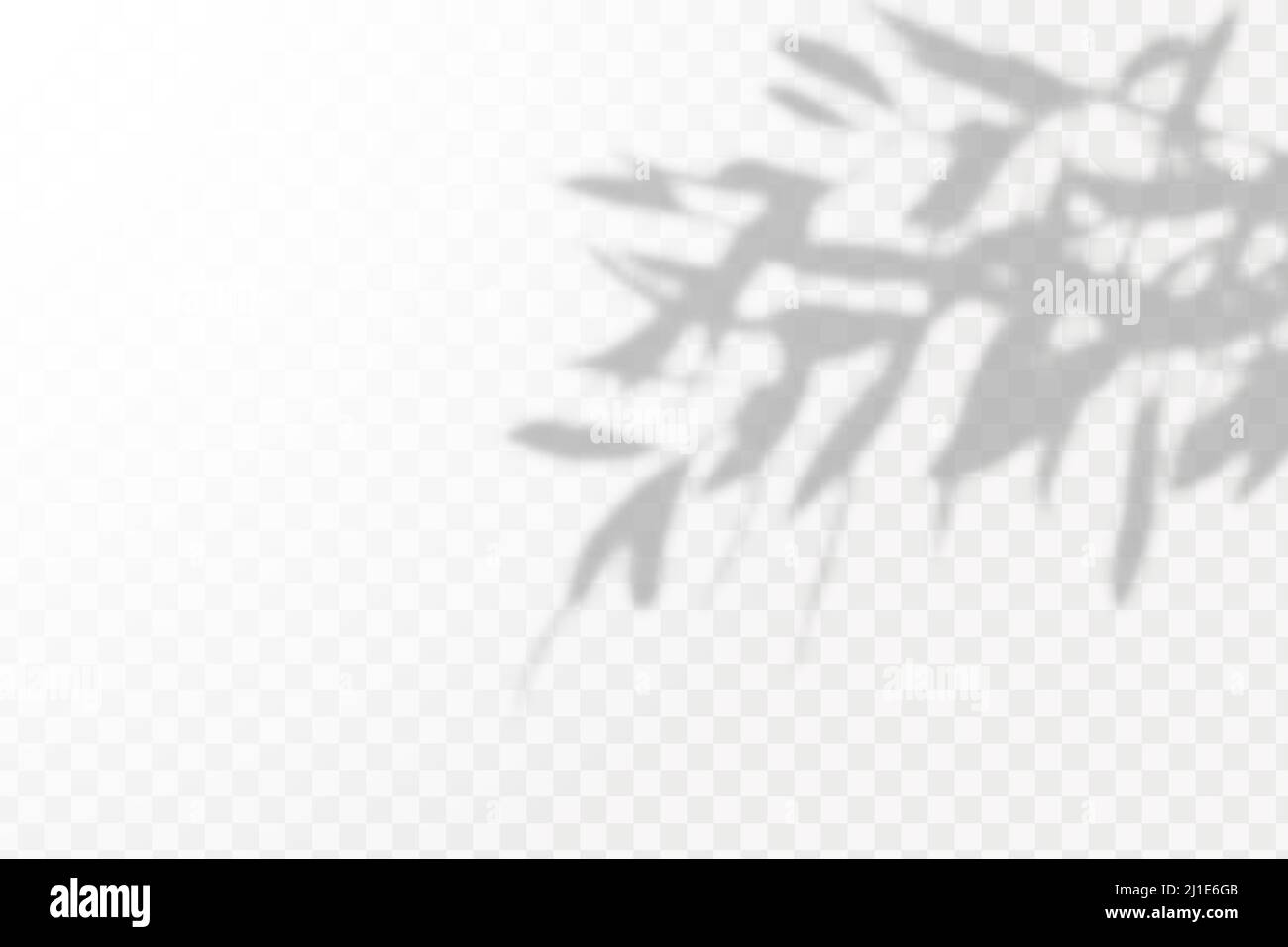 Effect Template for social media backgrounds, product presentations