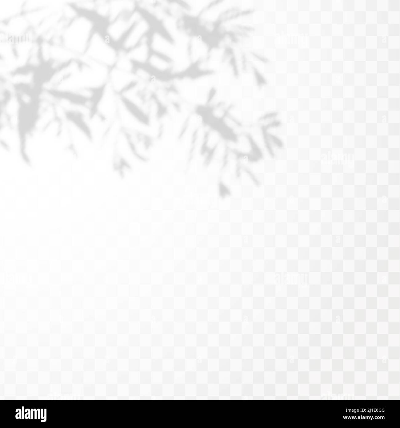 Effect Template for social media backgrounds, product presentations