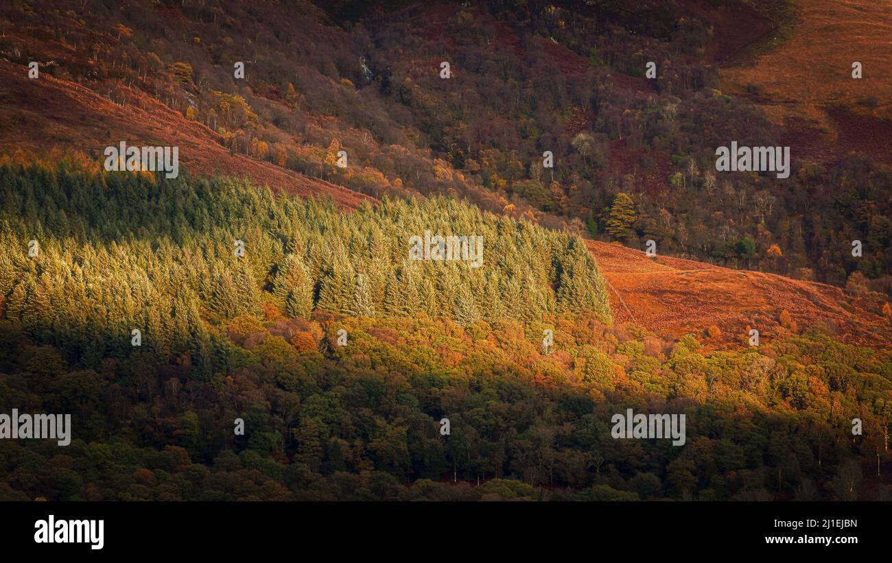 Afternoon light lit the mountain slope in autumn.Beautiful landscape scenery in Scottish Highlands. Stock Photo