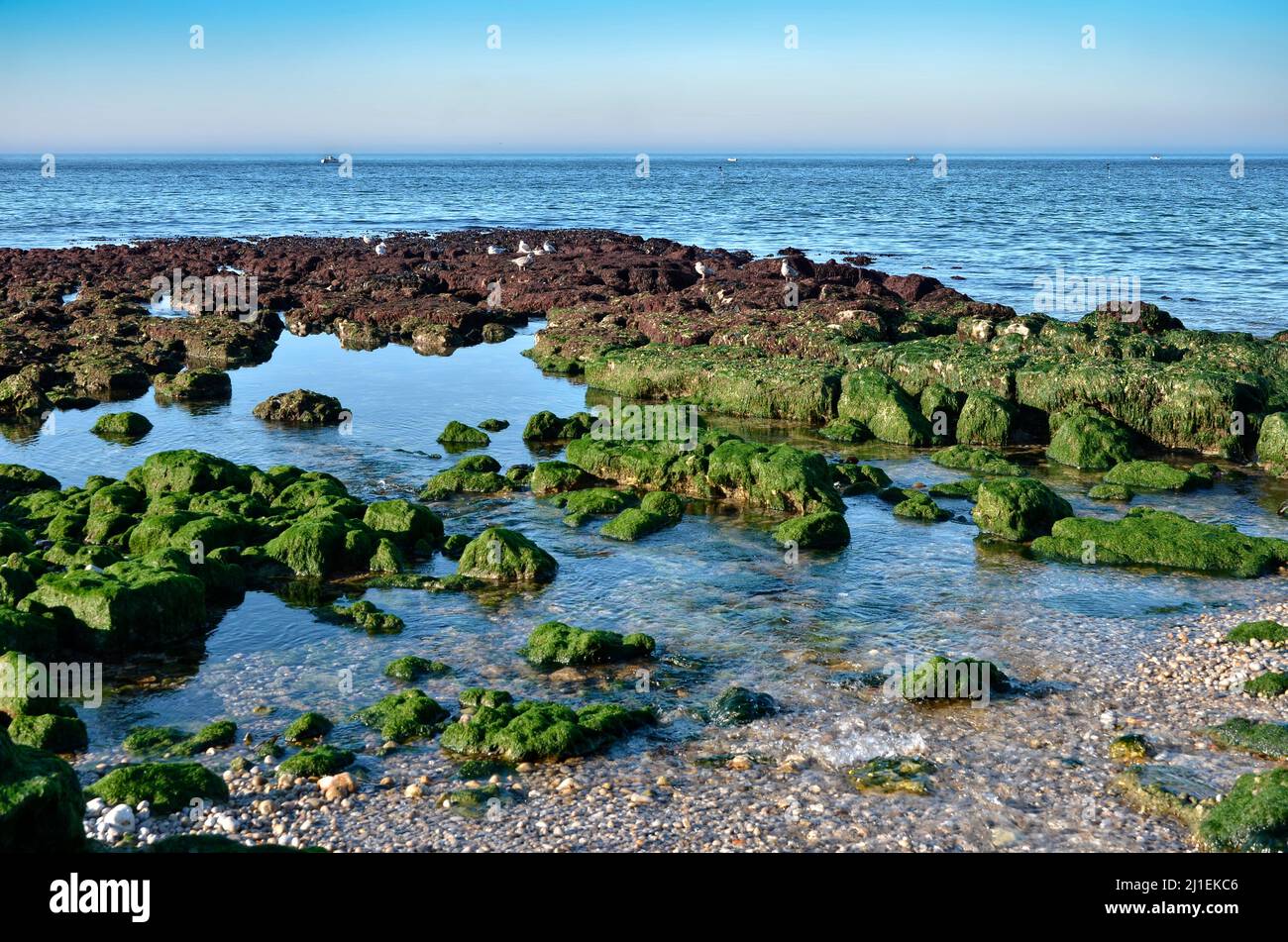 Low tide coastline of Etretat, commune in the Seine-Maritime department in the Haute-Normandie region in northwestern France Stock Photo