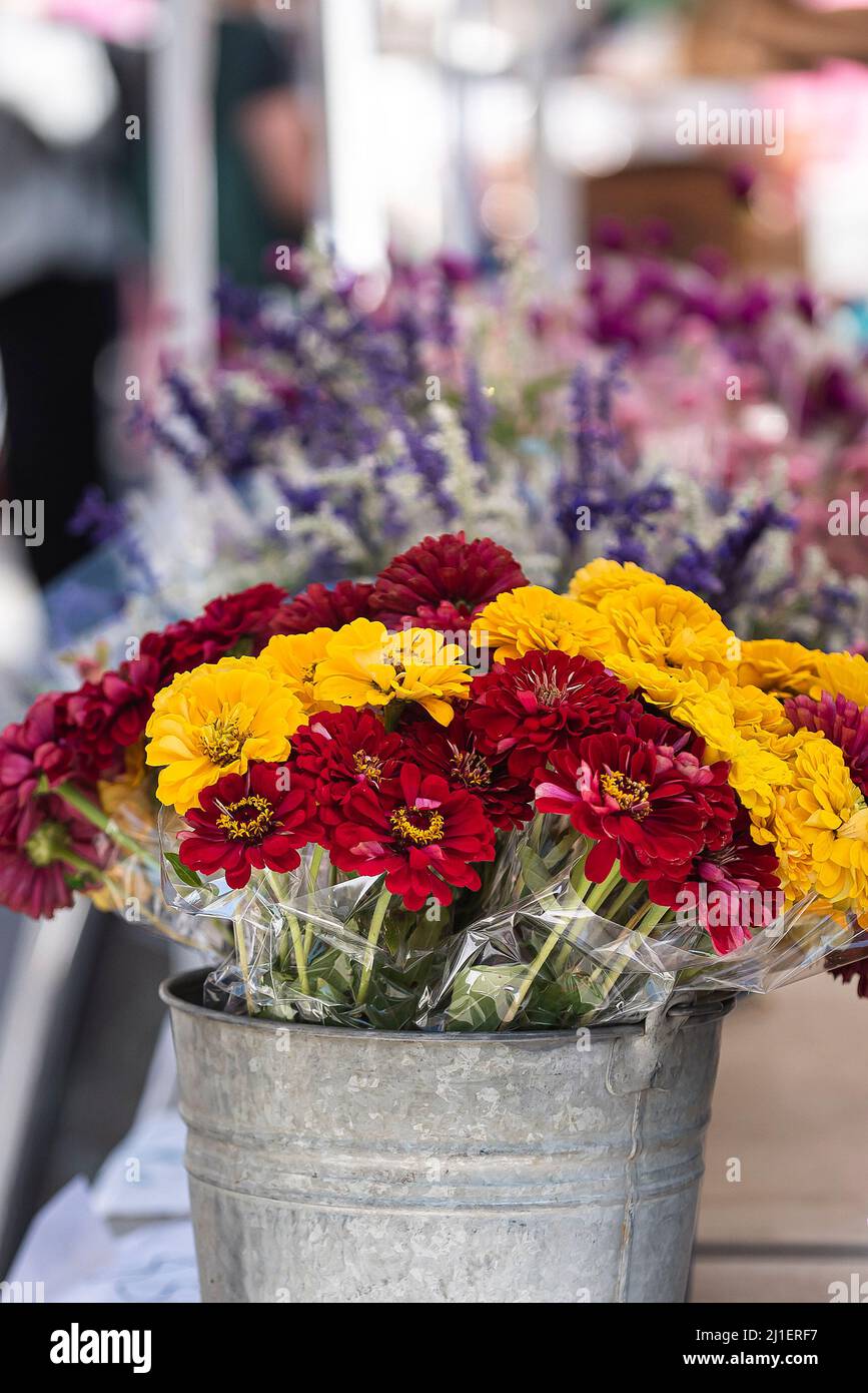 Sunday scenes from the Union Square Farmer's Market in New York City