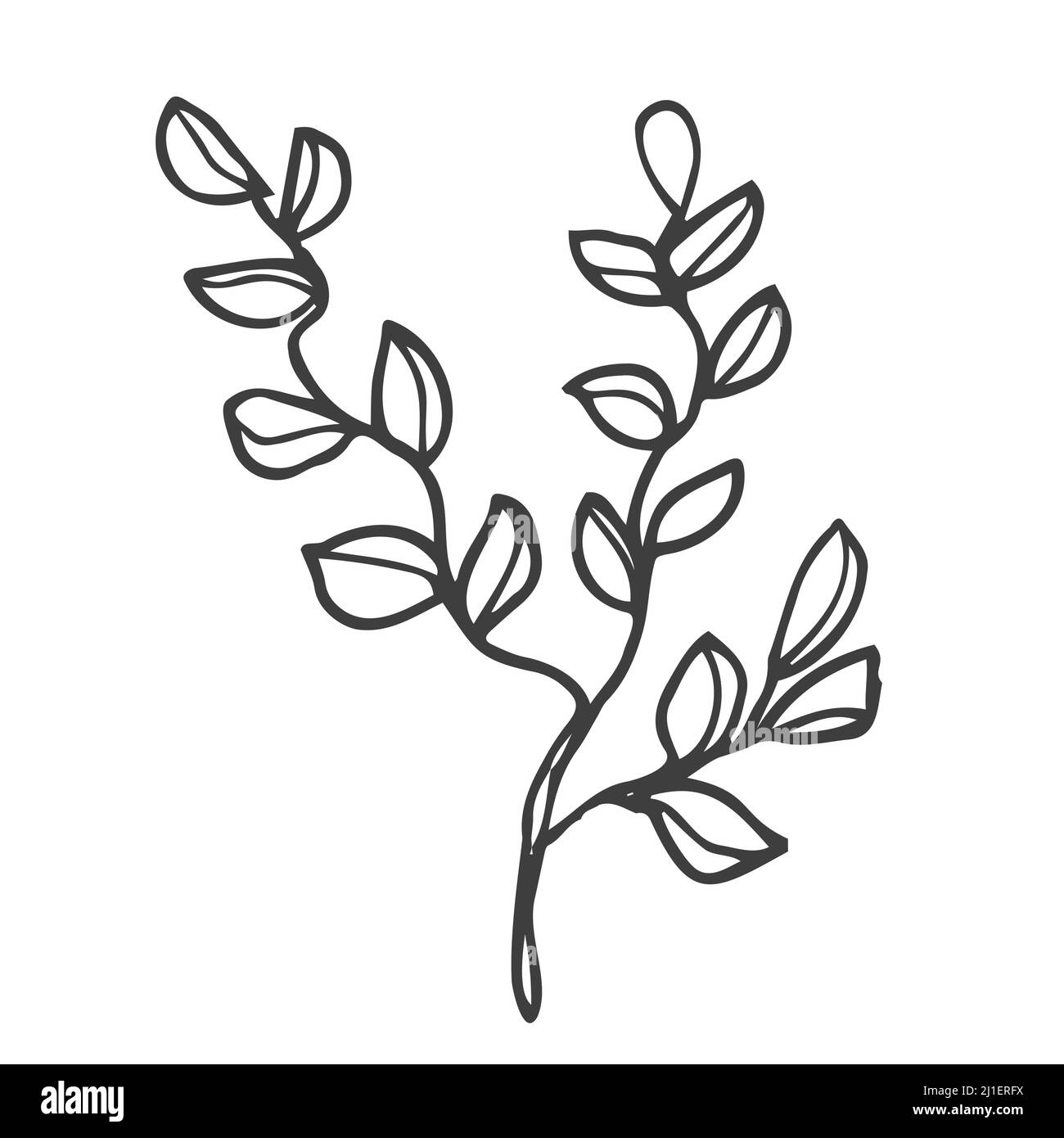 Floral doodle design elements. Hand drawn decorative leaves and wreaths ...