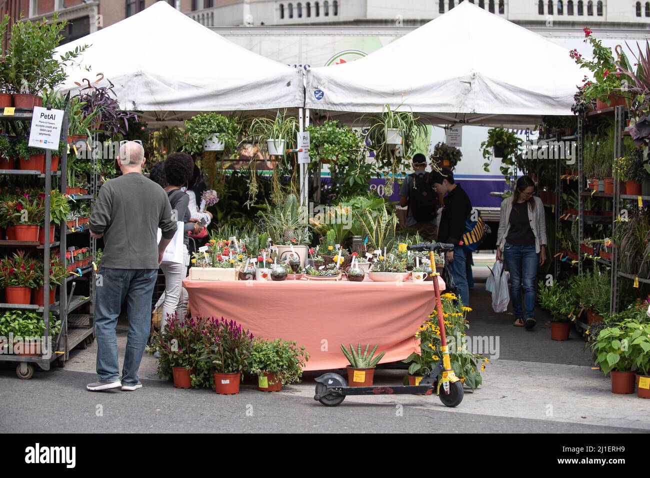 Sunday scenes from the Union Square Farmer's Market in New York City. Stock Photo