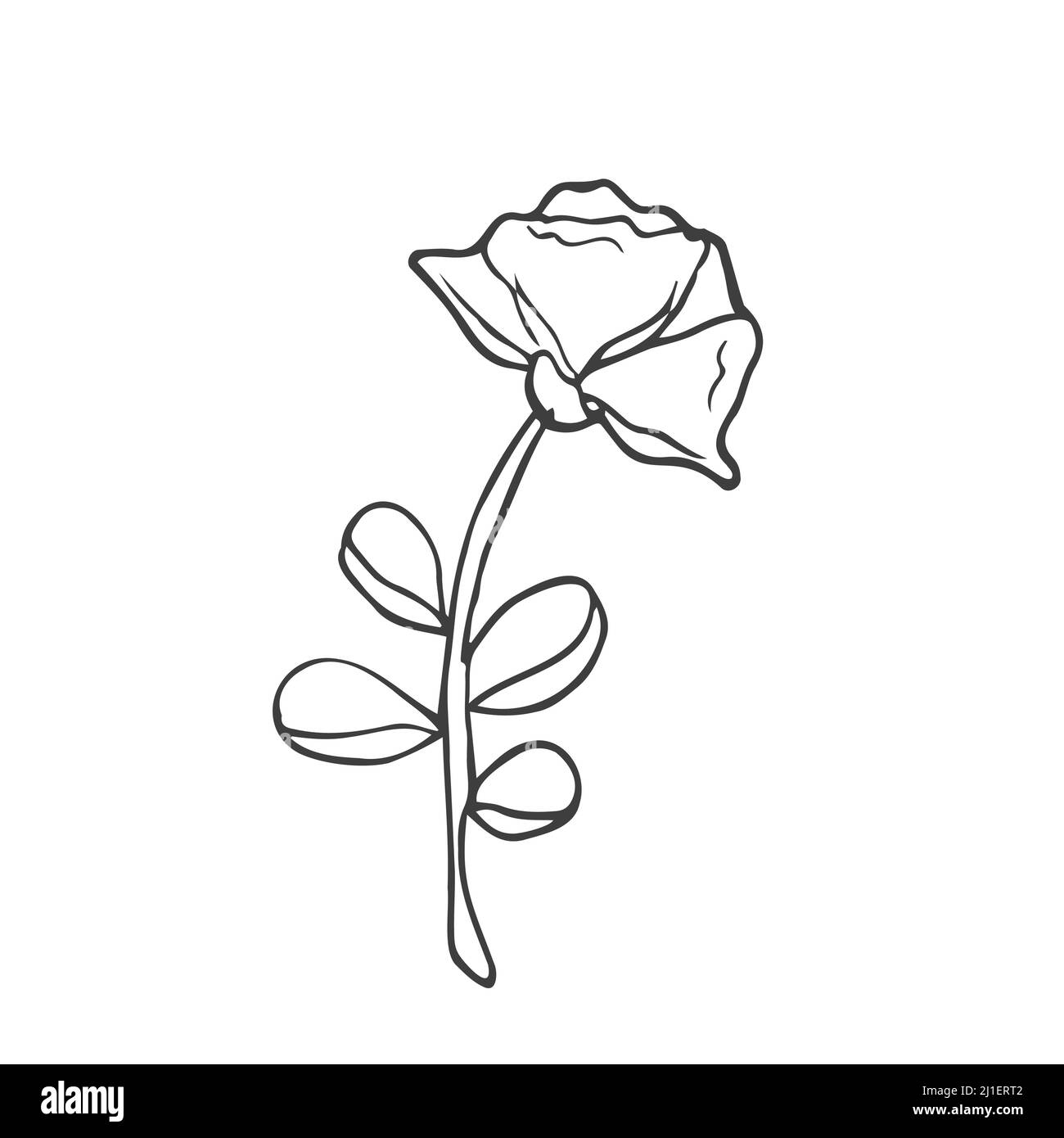 Hand drawn doodle flowers. Set of sketches of different summer flowers. Rose, tulip, dahlia, lily, chamomile and leaves line art. Stock Vector