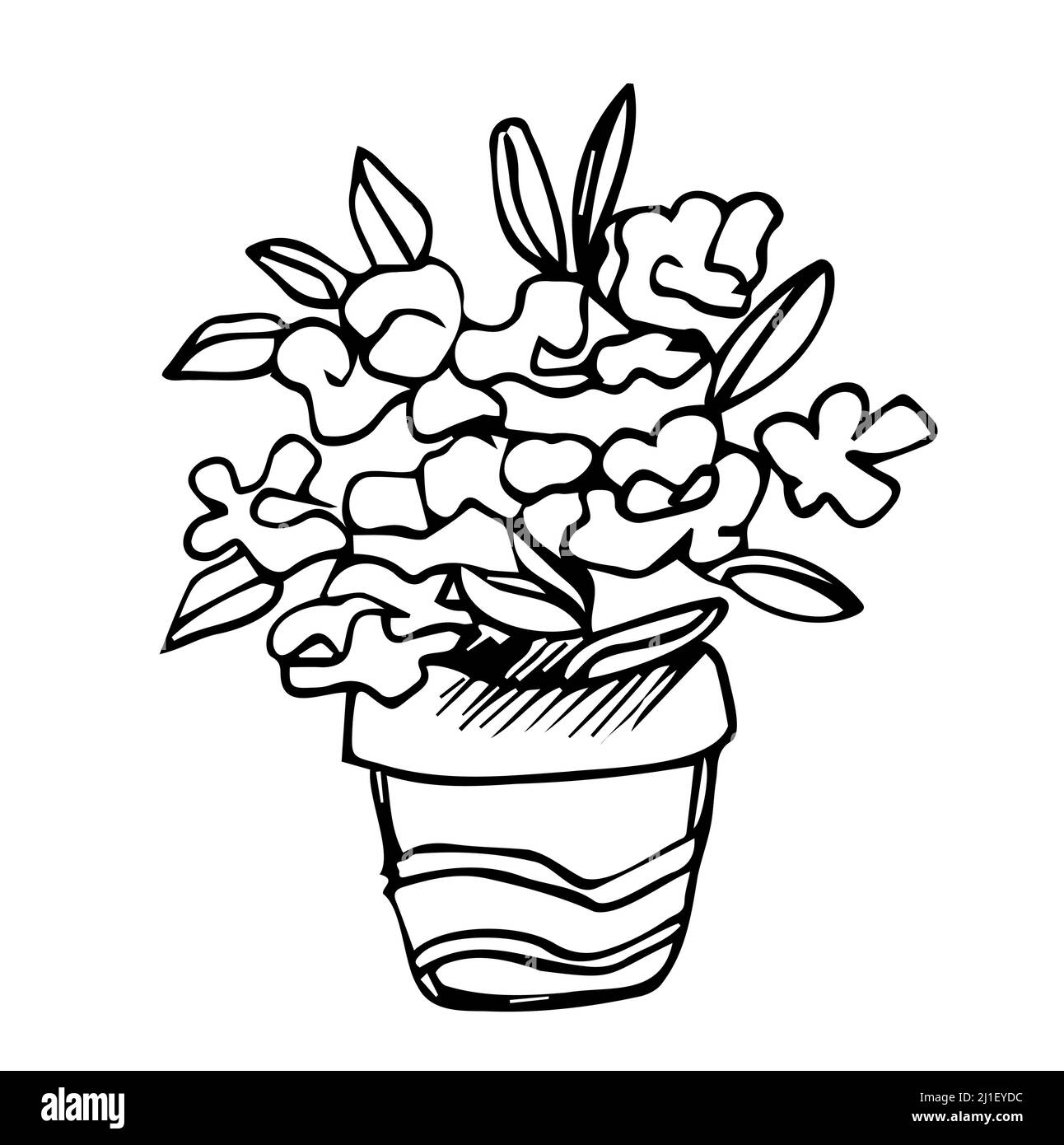 Flowers in pots painted black line on a white background. Vector drawing lines Stock Vector