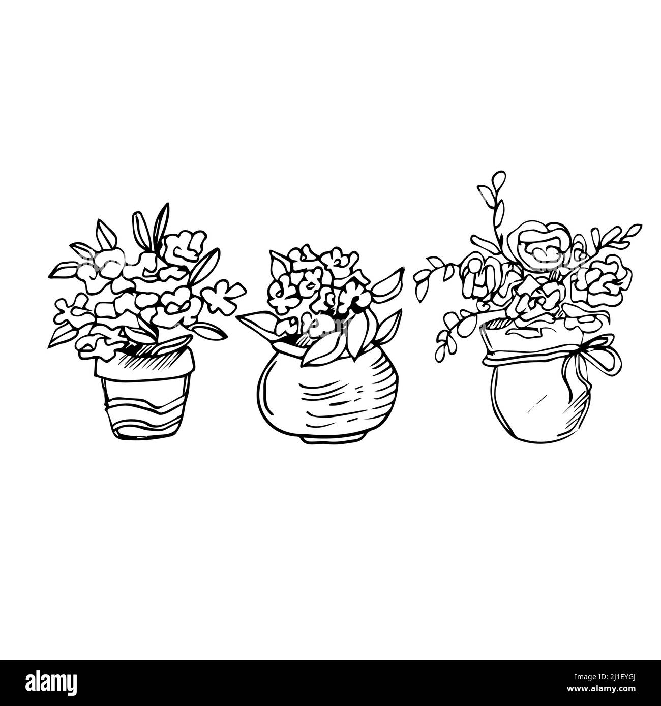 Indoor plants group Black and White Stock Photos & Images - Alamy