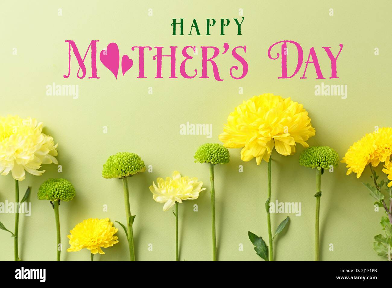 Beautiful greeting card for Mother's Day with flowers on green ...