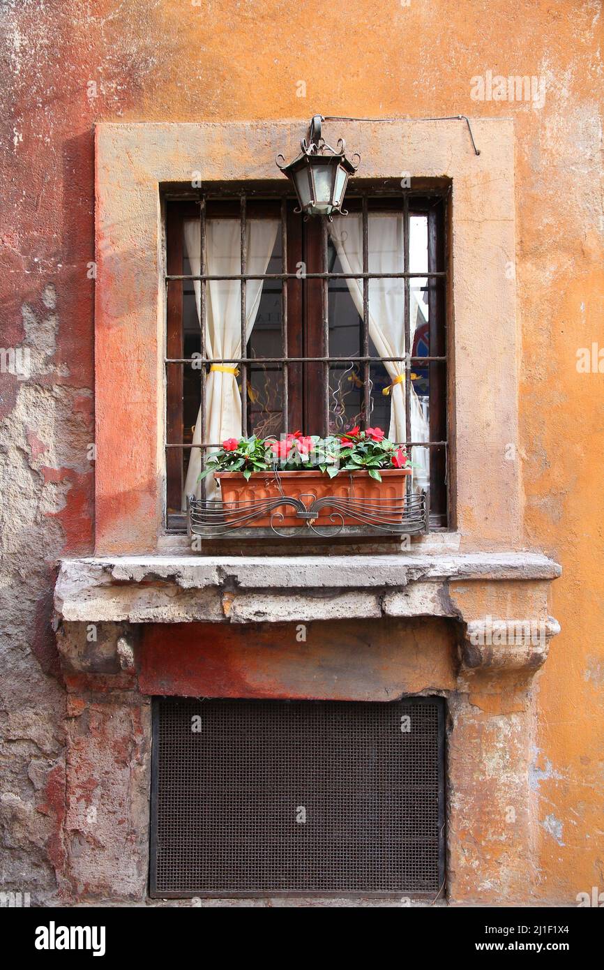 Window Rome Old Rome city, Italy. Architectural feature: old window with New Guinea ...
