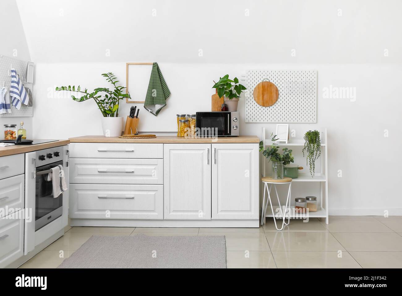 Interior of kitchen with modern furniture and houseplants near white ...