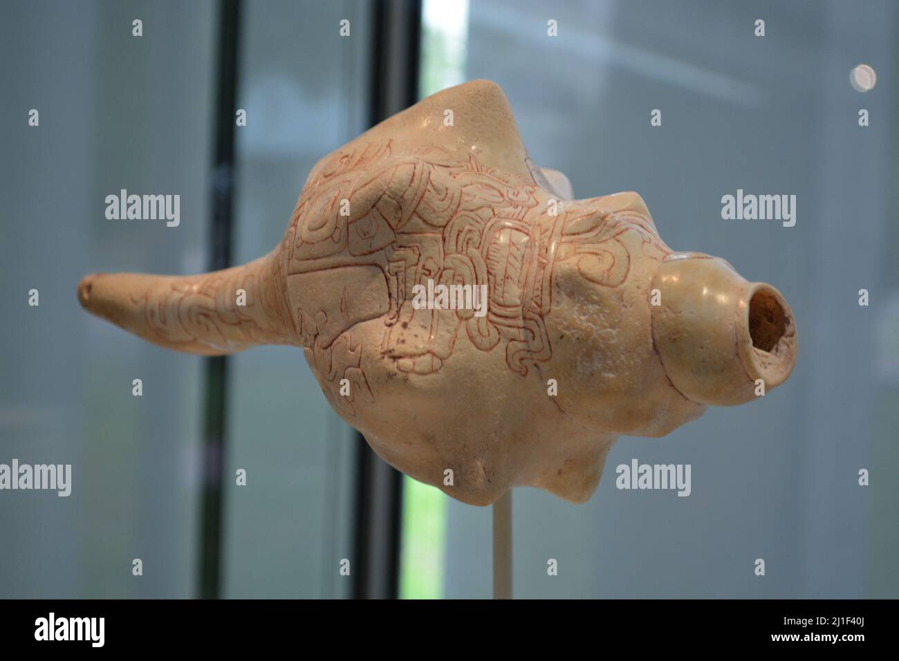 Precolumbian art in Sea shells, Maya Culture. Kimbell  Art Museum Stock Photo