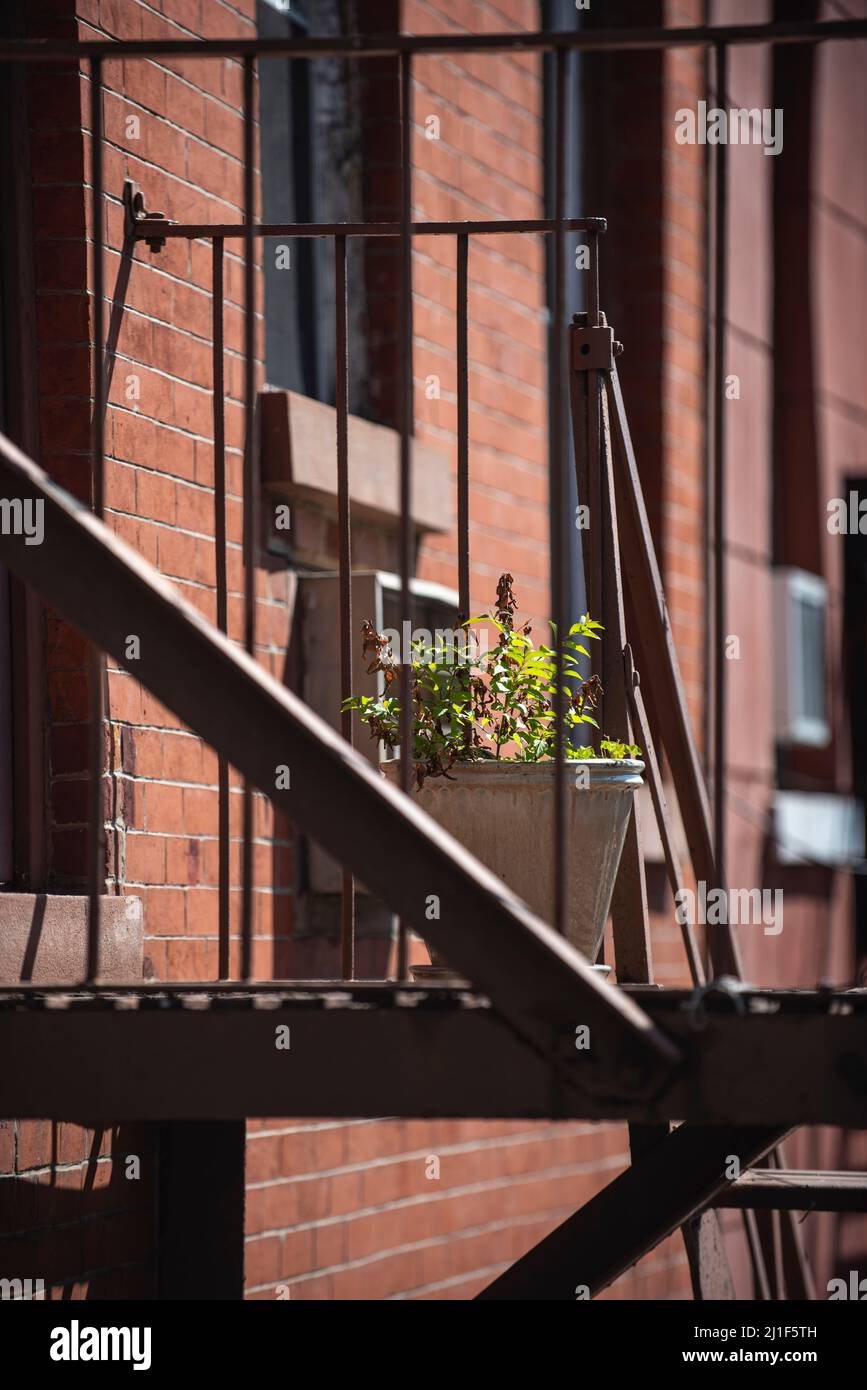 A small container garden on a fire escape of an apartment building in New York City. View from The Highline Park. Stock Photo