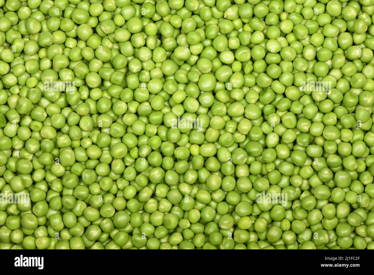 Green wet raw peas vegetable for background. High resolution photo