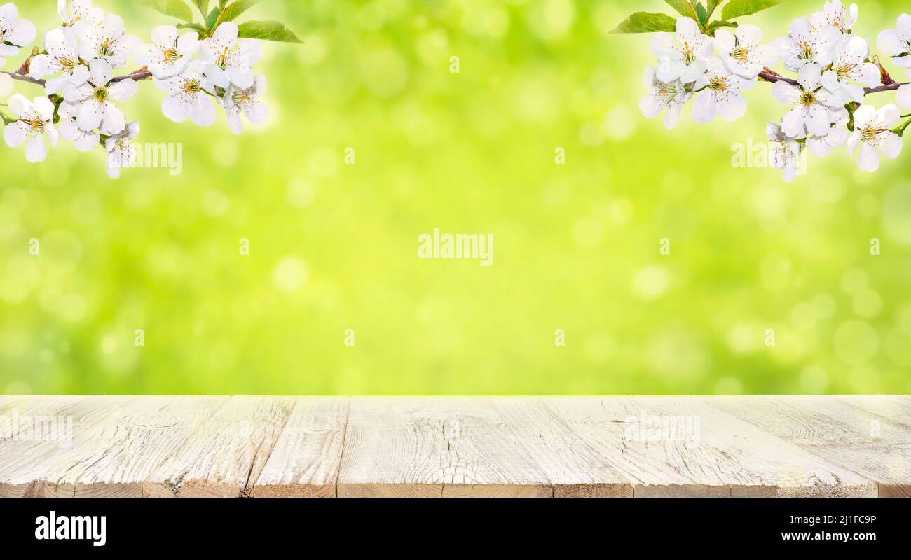 Old vintage planked wood table in perspective on bright green bokeh spring background with blooming branch. Stock Photo