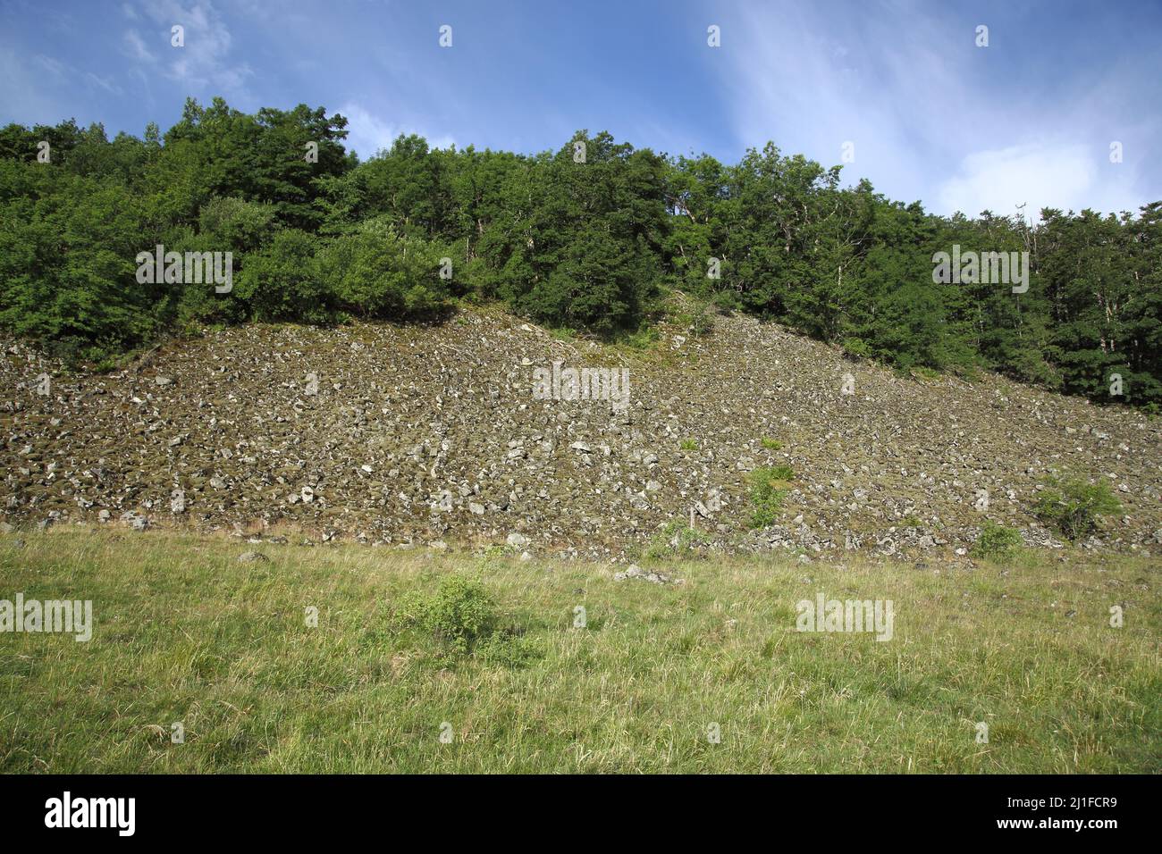 Block heap at the Steinkopf of the Long Rhön, Hesse, Germany Stock Photo