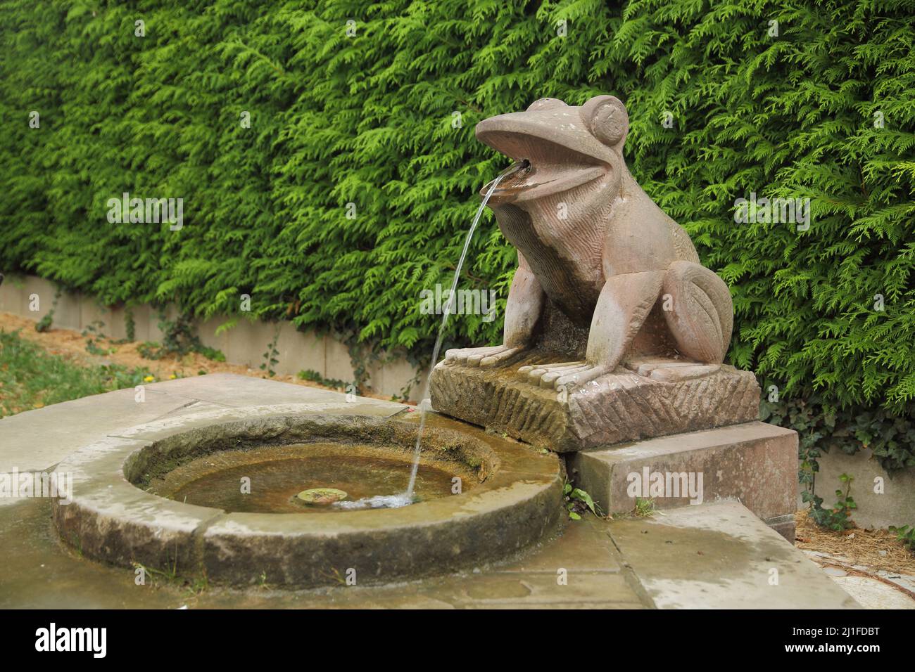 Frog Jumping Bronze Statue Fountain - Size: 11L x 13W x 16H