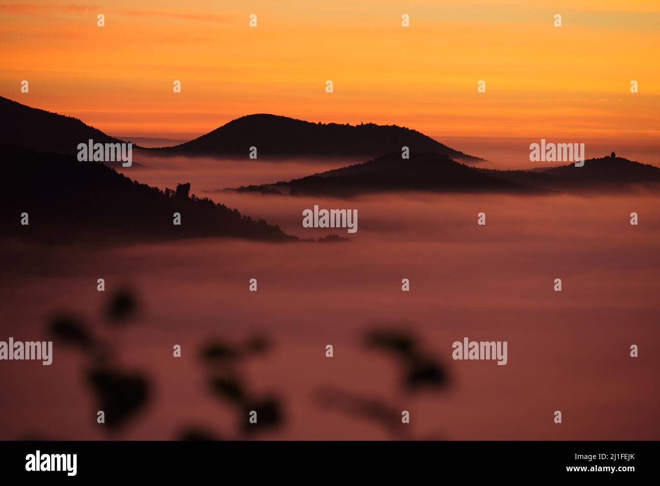 Sunrise at the Lindelbrunn castle ruins in the Dahner Felsenland, Rhineland-Palatinate, Germany Stock Photo