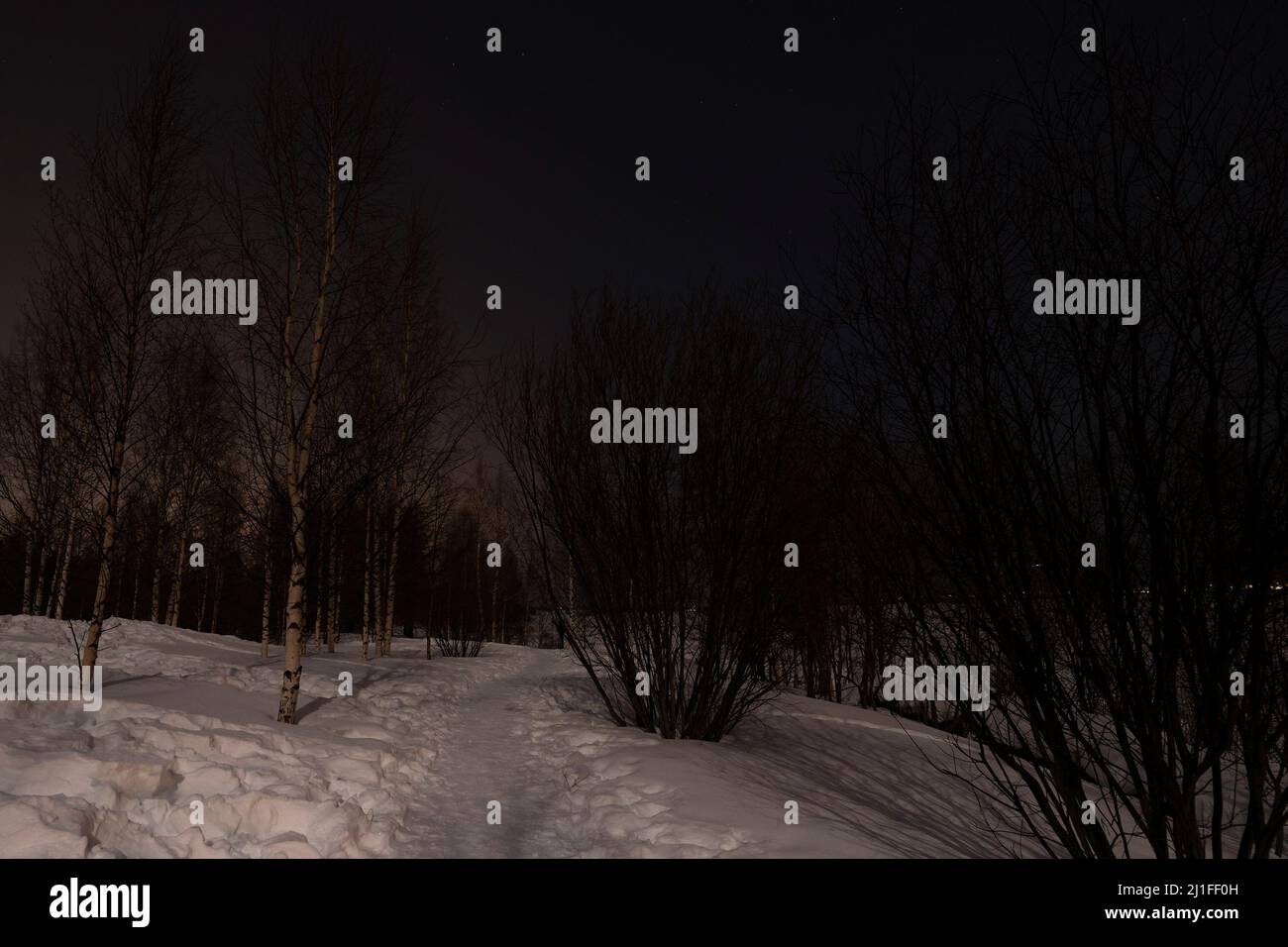Forest Near Rovaniemi A night view of a snowy forest path by the frozen Kemijoki river, near ...