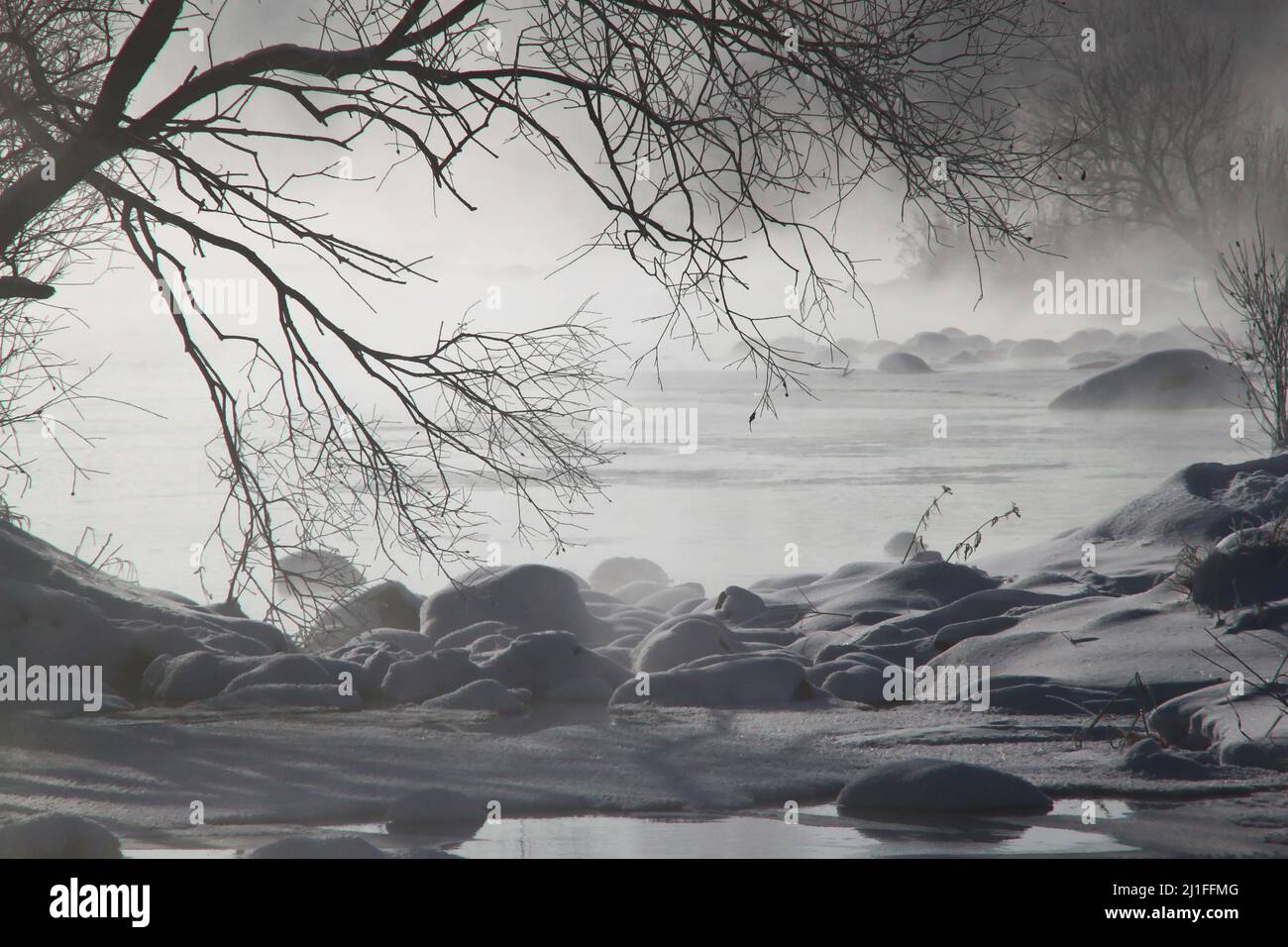 A black and white shot of a river in a foggy forest Stock Photo - Alamy