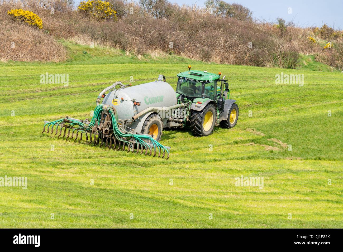Slurry Spreading with dribble bars towed by tractor on Irish Farm Stock Photo