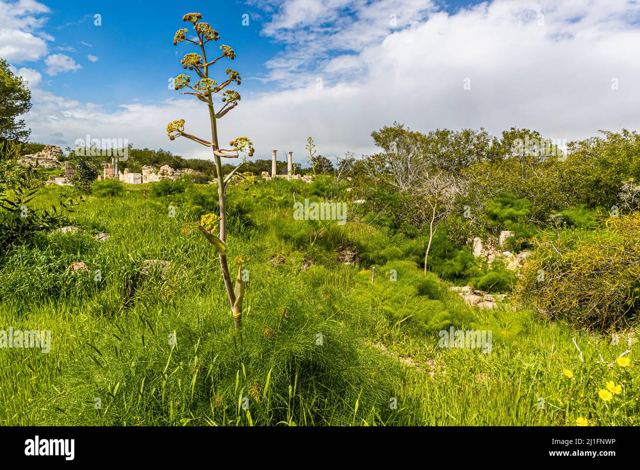 Yeni bogaziçi cyprus hires stock photography and images Alamy
