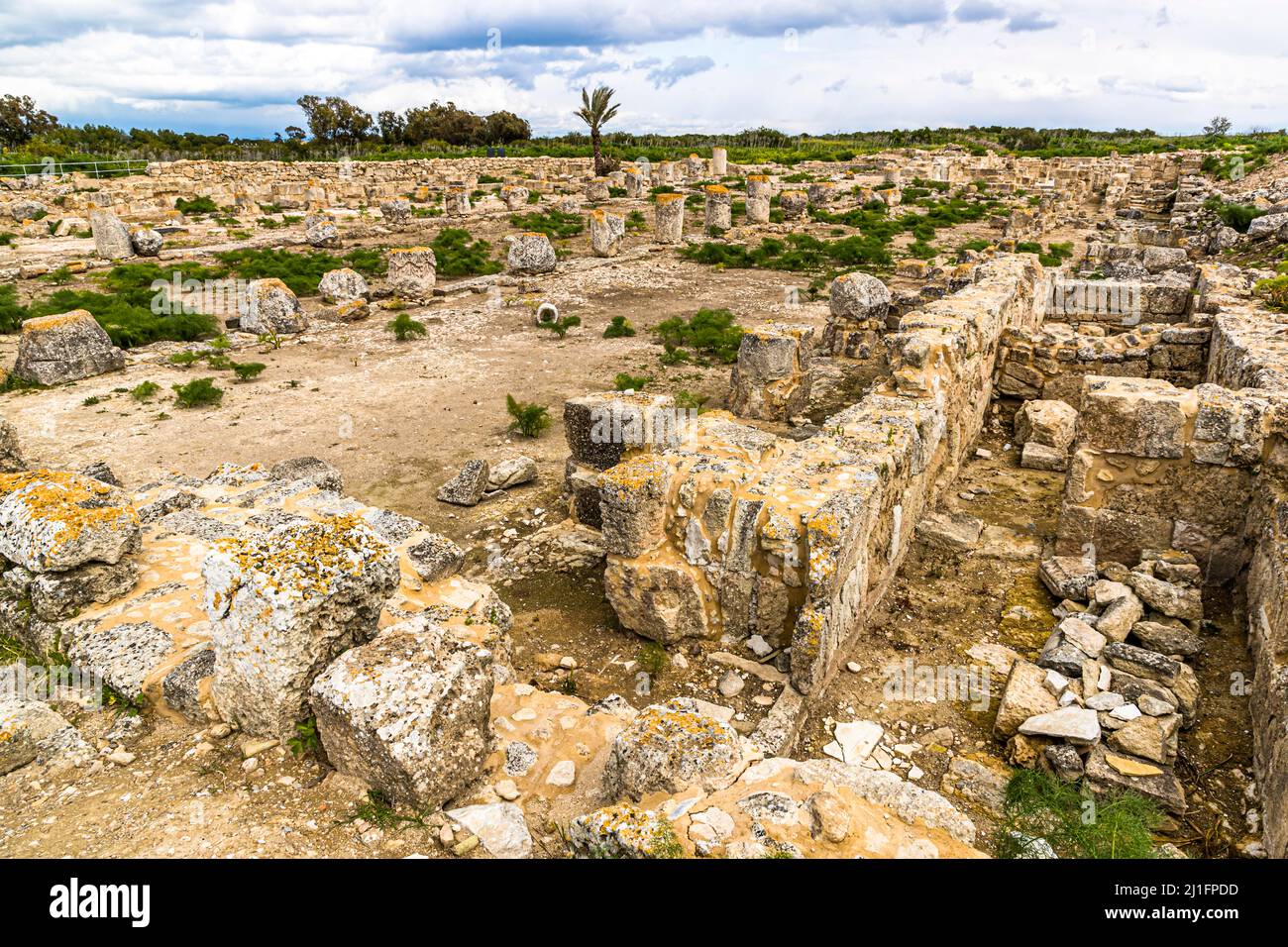 Salamis ruins in Yeni Boğaziçi, Turkish Republic of Northern Cyprus (TRNC Stock Photo Alamy