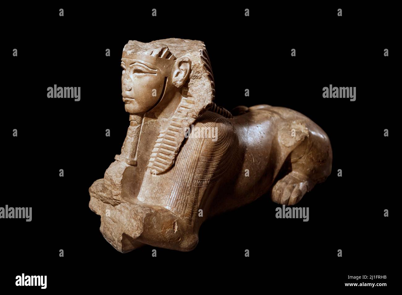 Tutankhamun sphinx, Luxor Museum Stock Photo