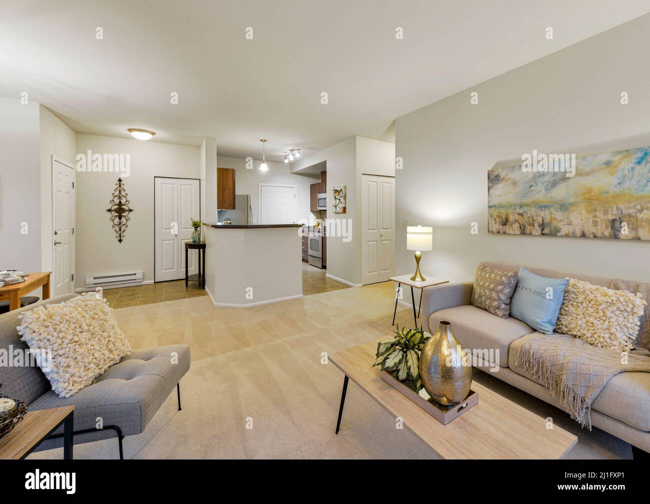 Modern residential living room and kitchen interior Stock Photo Alamy