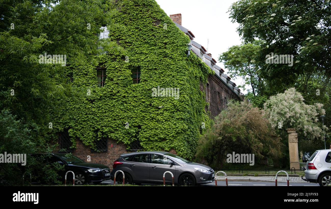 a car parked on the side of a road building all covered in moss and ivy ...