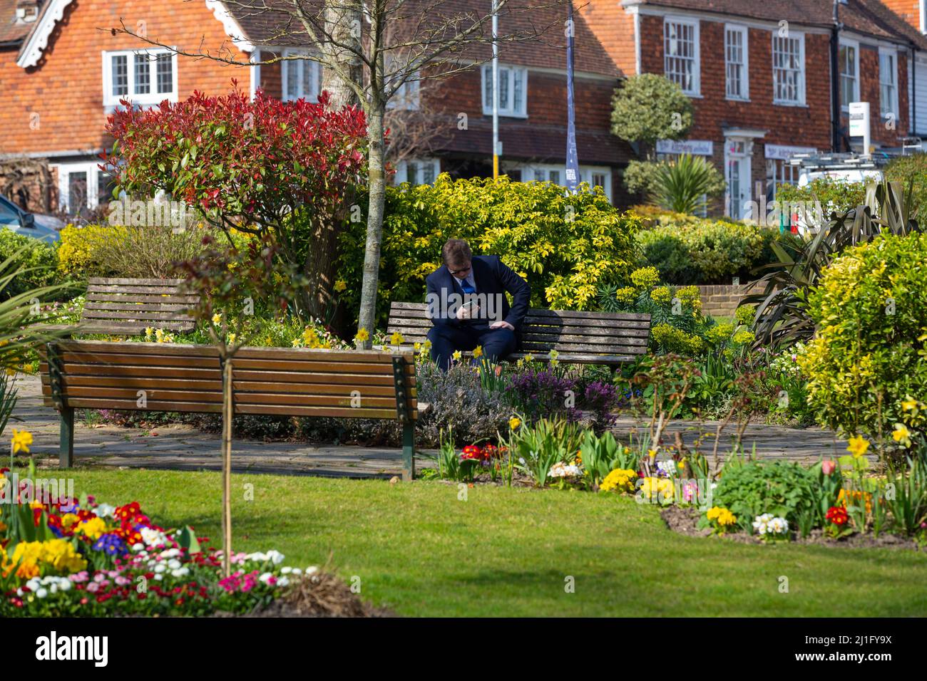 A man in a suit sitting on a park bench mobile in hand surrounded by colourful spring flowers, tenterden, kent, uk Stock Photo