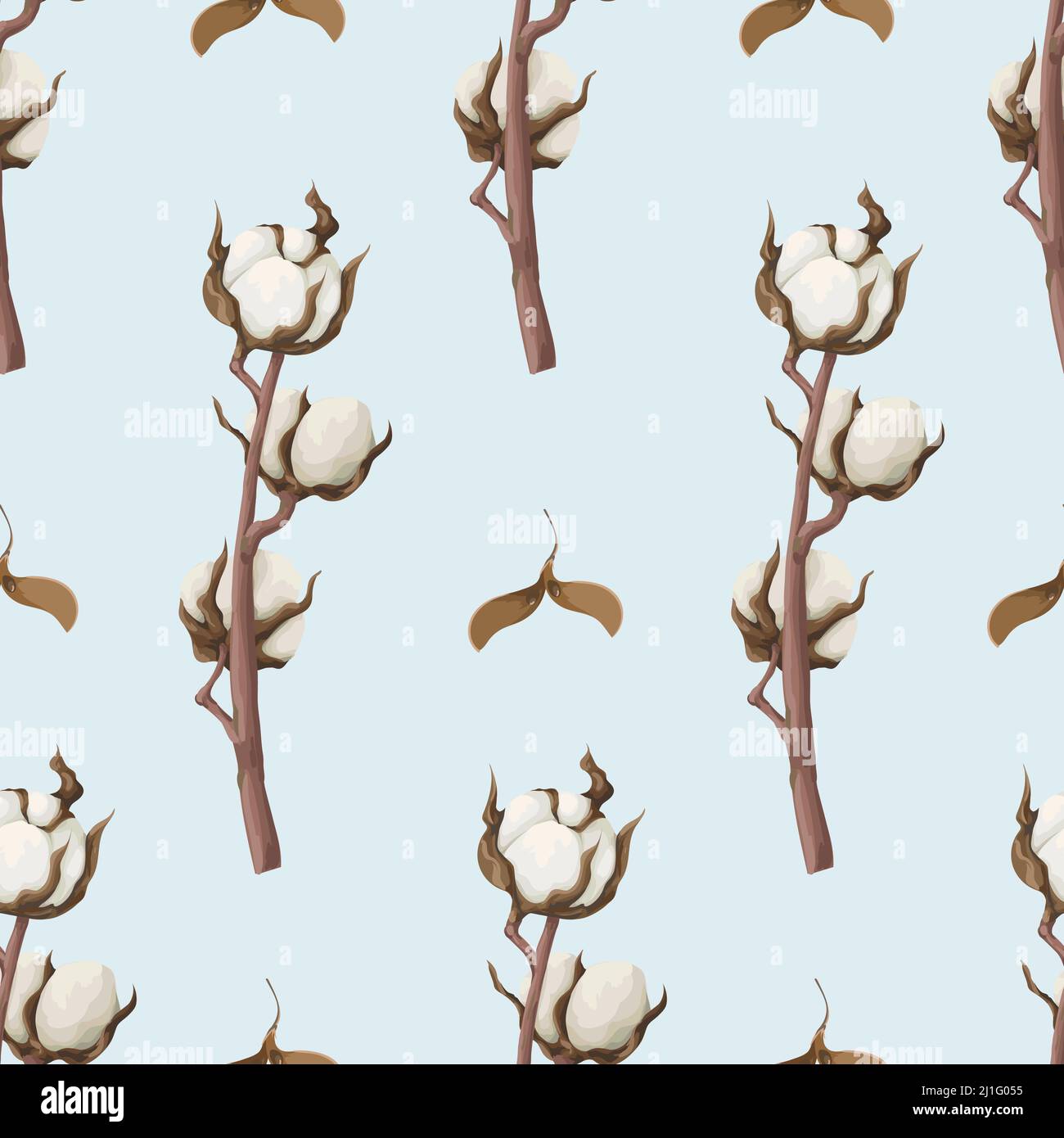 Seamless pattern with dried cotton flowers. Vector. Stock Vector