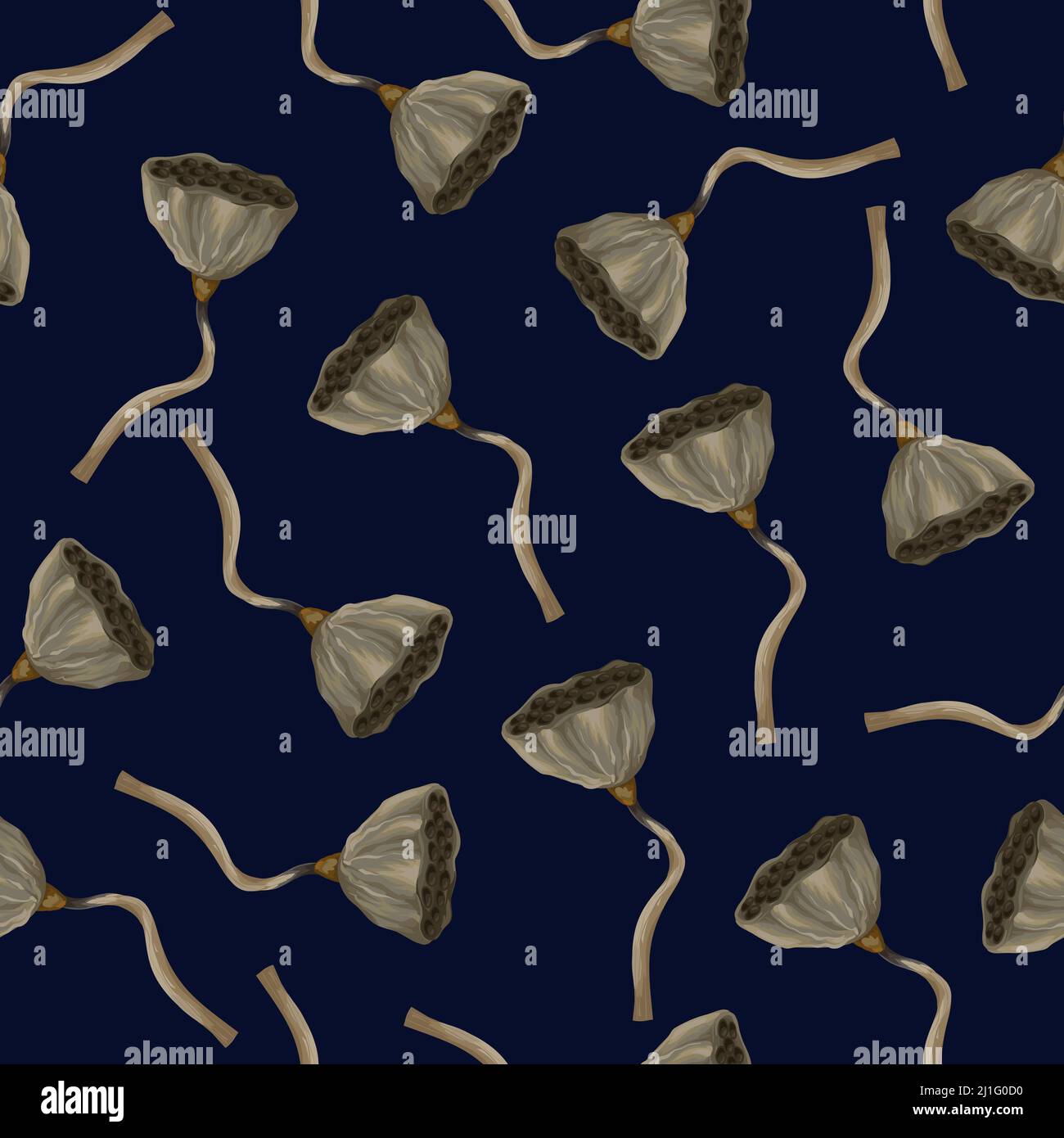 Seamless pattern with dried lotos. Vector Stock Vector