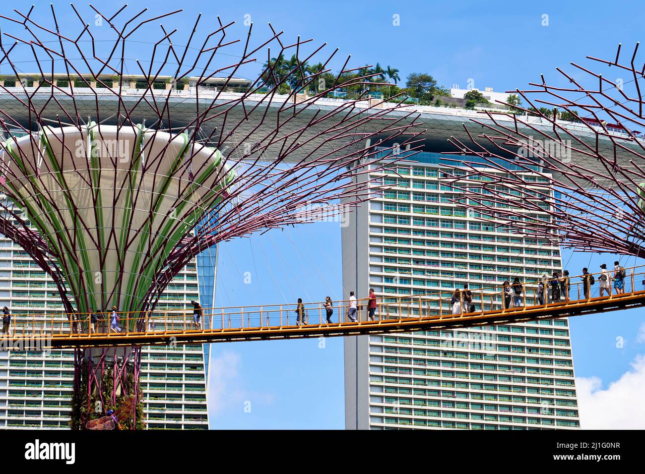 Singapore. Gardens by the Bay Stock Photo